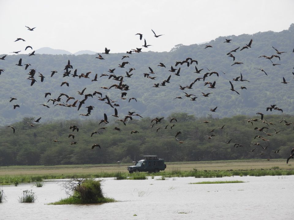 Photo of Ngorongoro Crater, Tanzania by Nakul Singh
