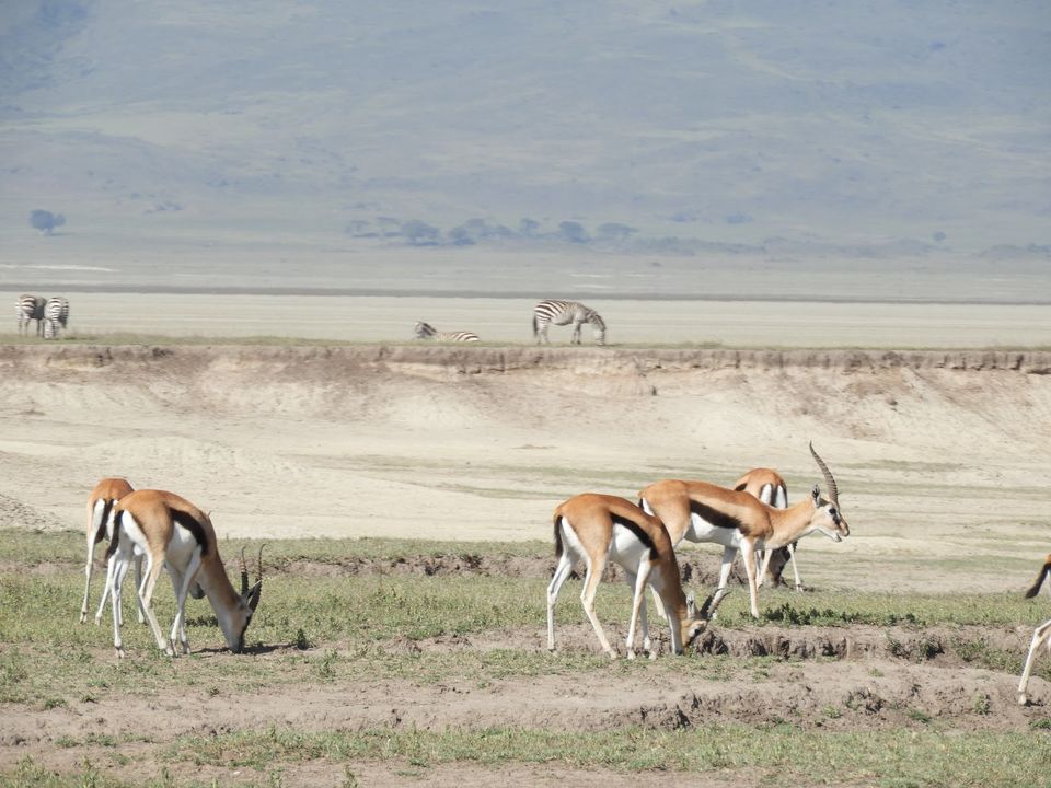 Photo of Ngorongoro Crater, Tanzania by Nakul Singh