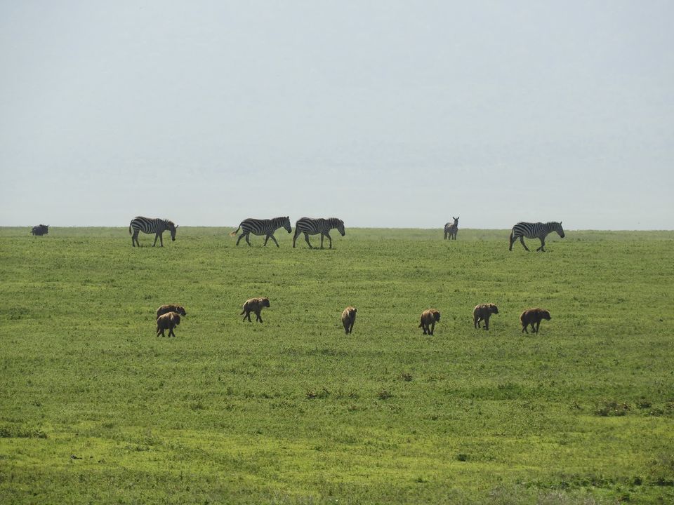 Photo of Ngorongoro Crater, Tanzania by Nakul Singh