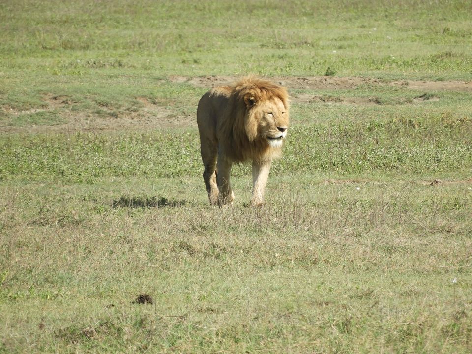 Photo of Ngorongoro Crater, Tanzania by Nakul Singh
