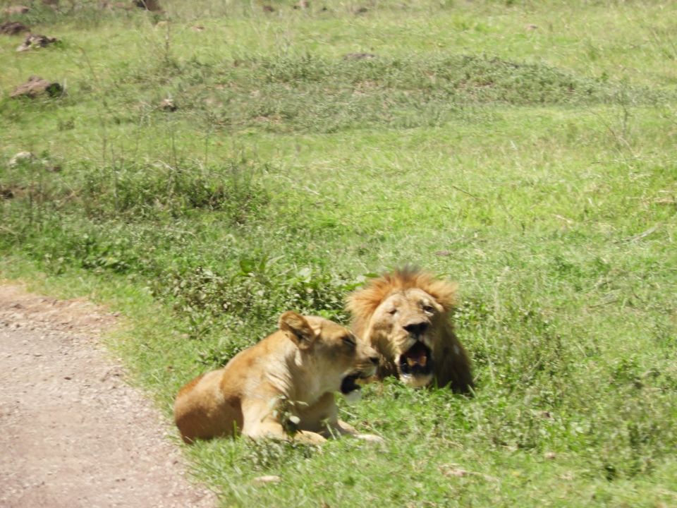 Photo of Ngorongoro Crater, Tanzania by Nakul Singh