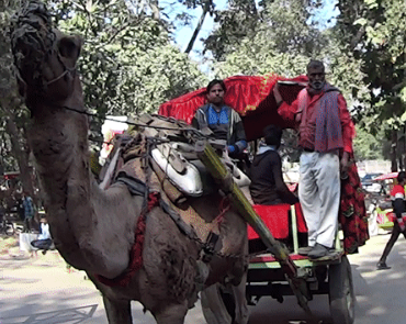 Photo of Five Unique Things to Do in Agra 5/6 by Do Ghumakkad