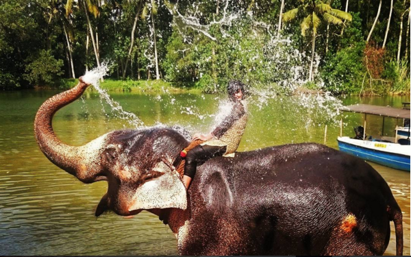 Photo of Must visit places in South India 8/9 by Do Ghumakkad