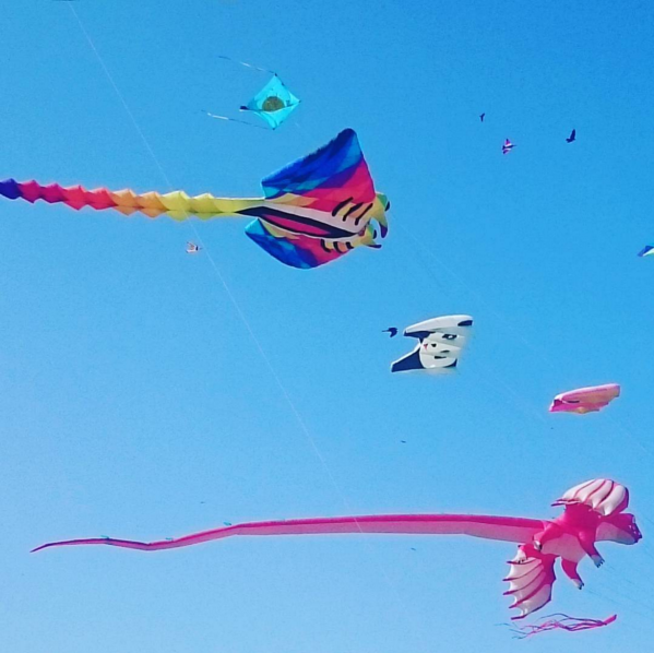 Photo of Kite festival in Ahmedabad should be on your whishlist 1/3 by Do Ghumakkad