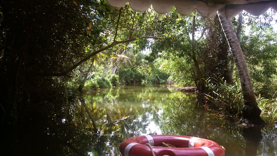 Photo of Poovar : Kerala's hidden Paradise 1/4 by Do Ghumakkad