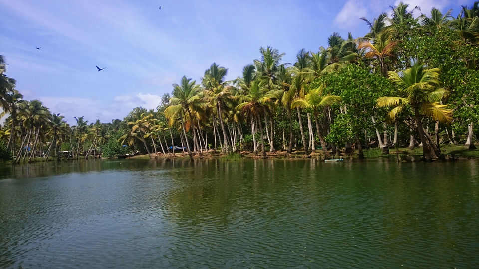 Photo of Poovar : Kerala's hidden Paradise 2/4 by Do Ghumakkad