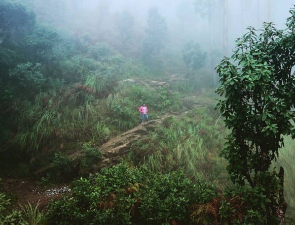 Photo of Kodaikanal "Princess of Hill stations" 5/5 by Do Ghumakkad