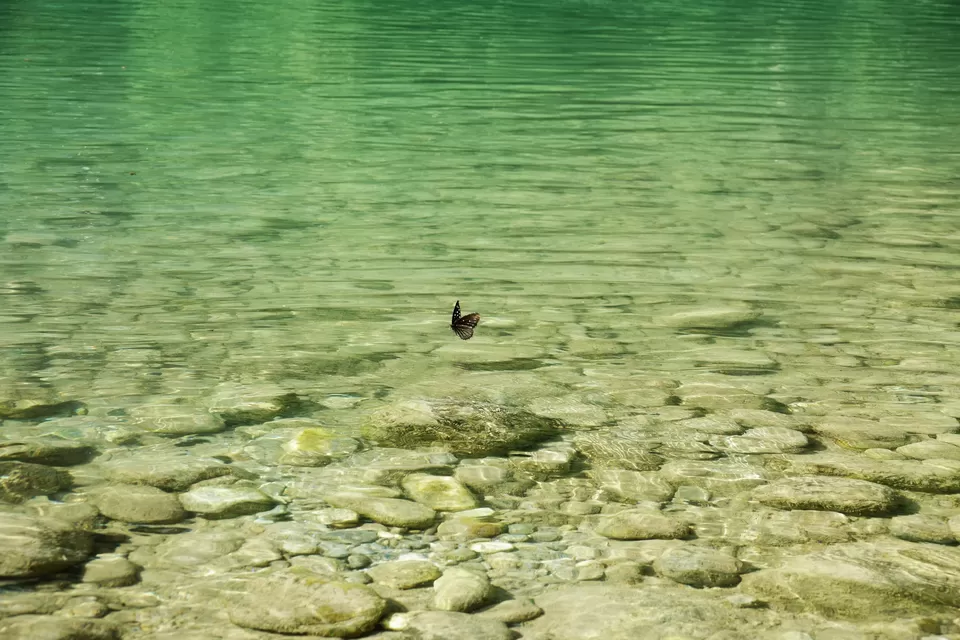 Photo of Sheraghat Berinag Road, Seraghat, Uttarakhand, India by Do Ghumakkad