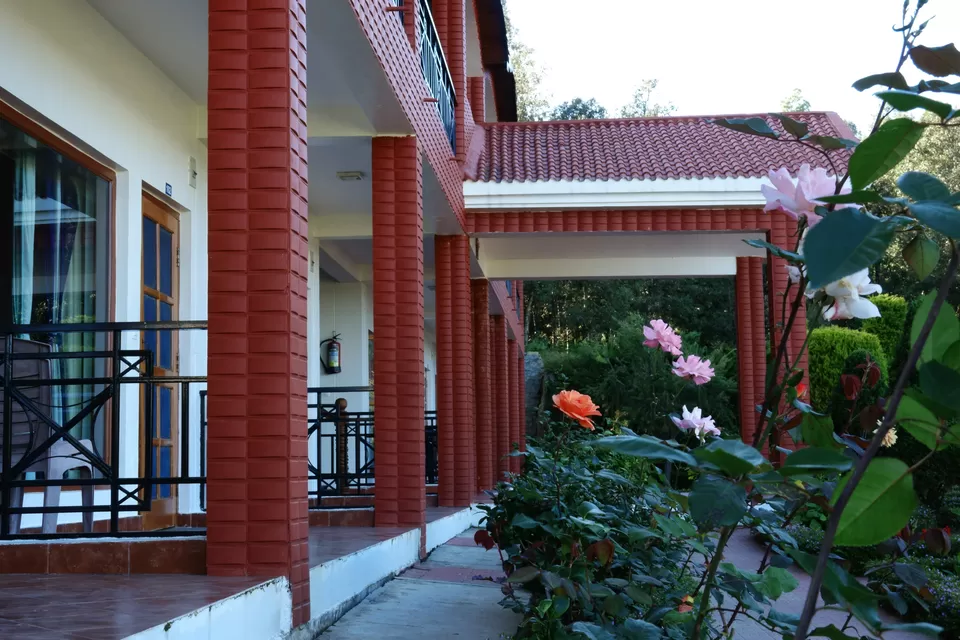 Photo of Chaukori, Uttarakhand, India by Do Ghumakkad