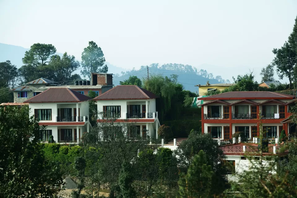 Photo of Chaukori, Uttarakhand, India by Do Ghumakkad