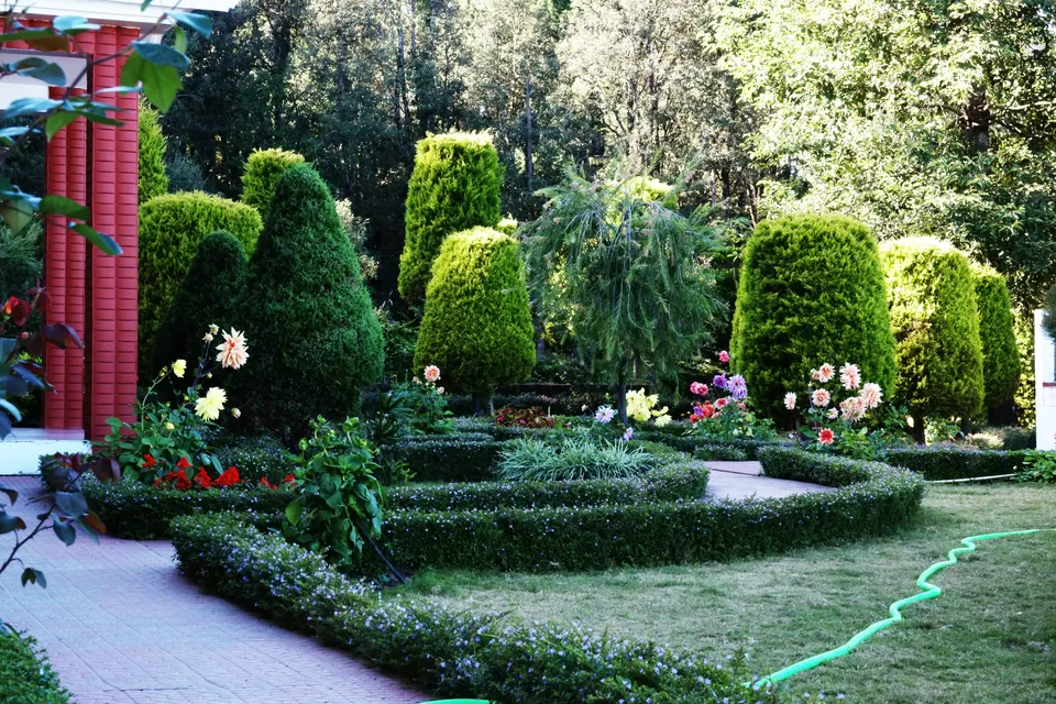 Photo of Chaukori, Uttarakhand, India by Do Ghumakkad