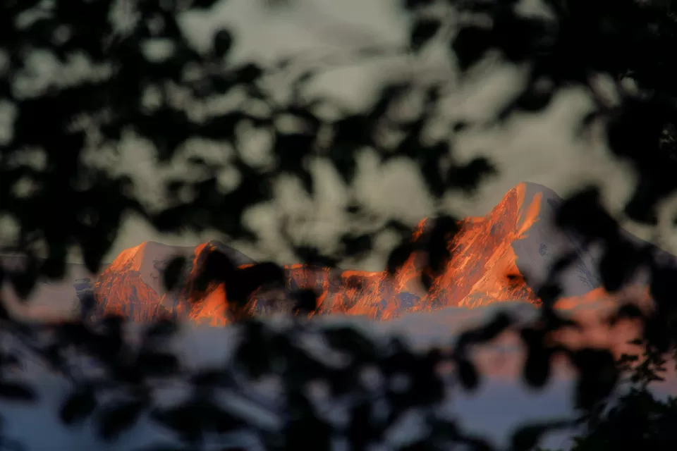 Photo of Chaukori, Uttarakhand, India by Do Ghumakkad