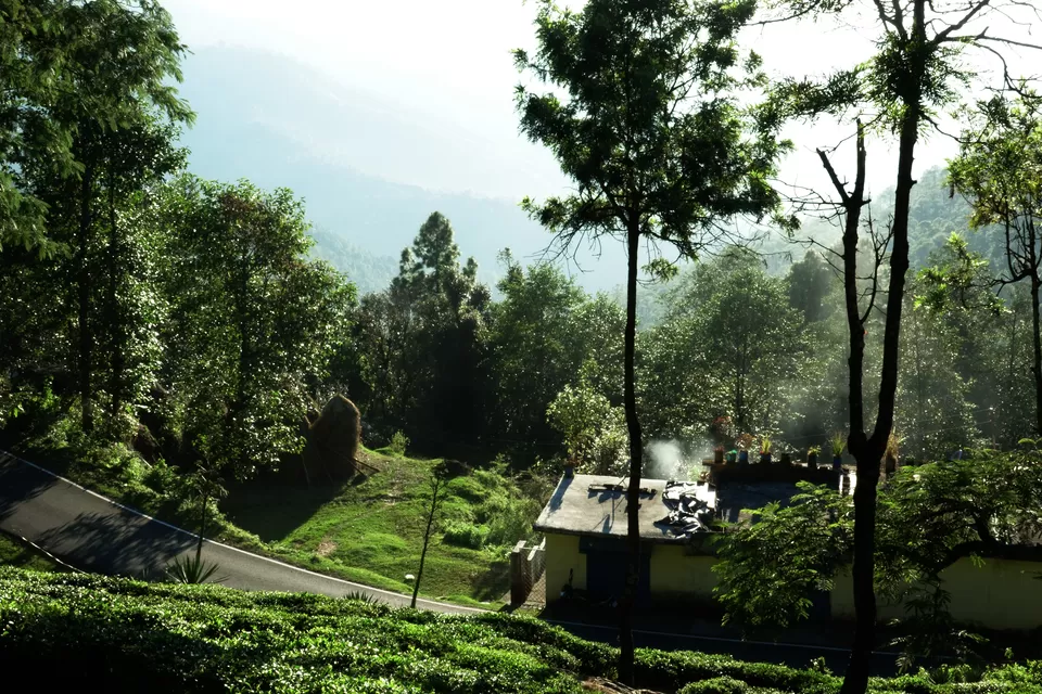 Photo of Chaukori, Uttarakhand, India by Do Ghumakkad