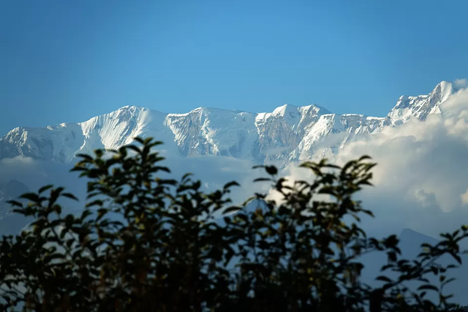 Photo of Chaukori, Uttarakhand, India by Do Ghumakkad