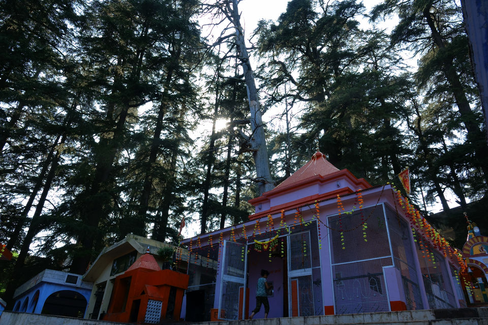 Photo of Chaukori, Uttarakhand, India by Do Ghumakkad