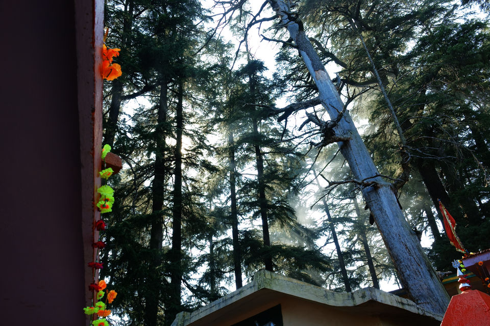 Photo of Chaukori, Uttarakhand, India by Do Ghumakkad