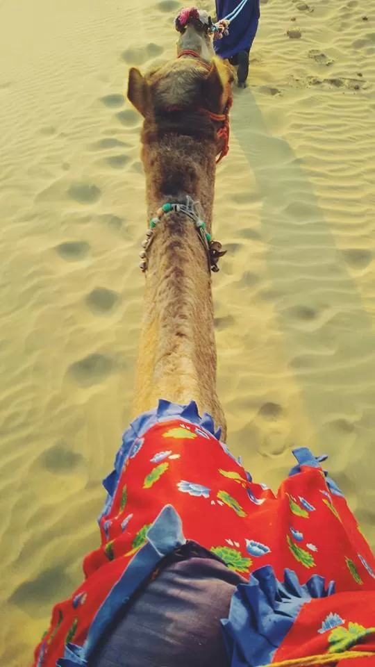Photo of Sam Sand Dunes, Major District Road 53, Kanoi, Rajasthan, India by Roma Kandpal
