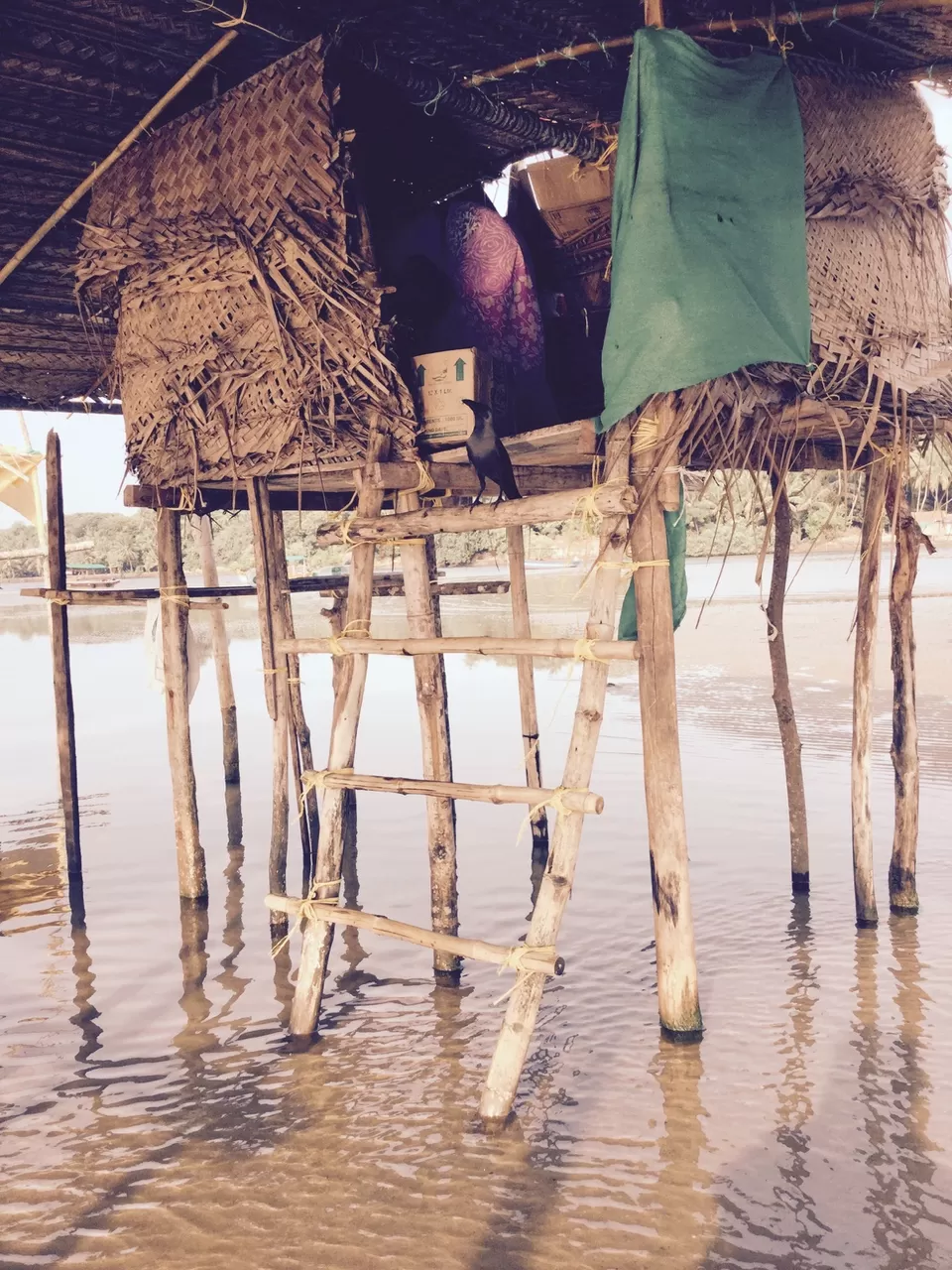 Photo of Tsunami Island, Vengurla, Sindhudurg, Goa, India by Roma Kandpal