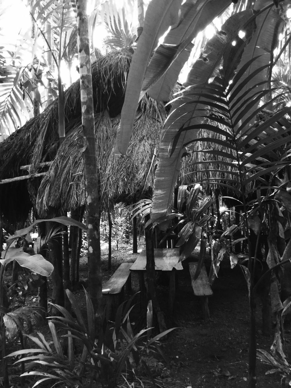 Photo of Tarkarli will leave you in a state of trance 5/18 by Roma Kandpal