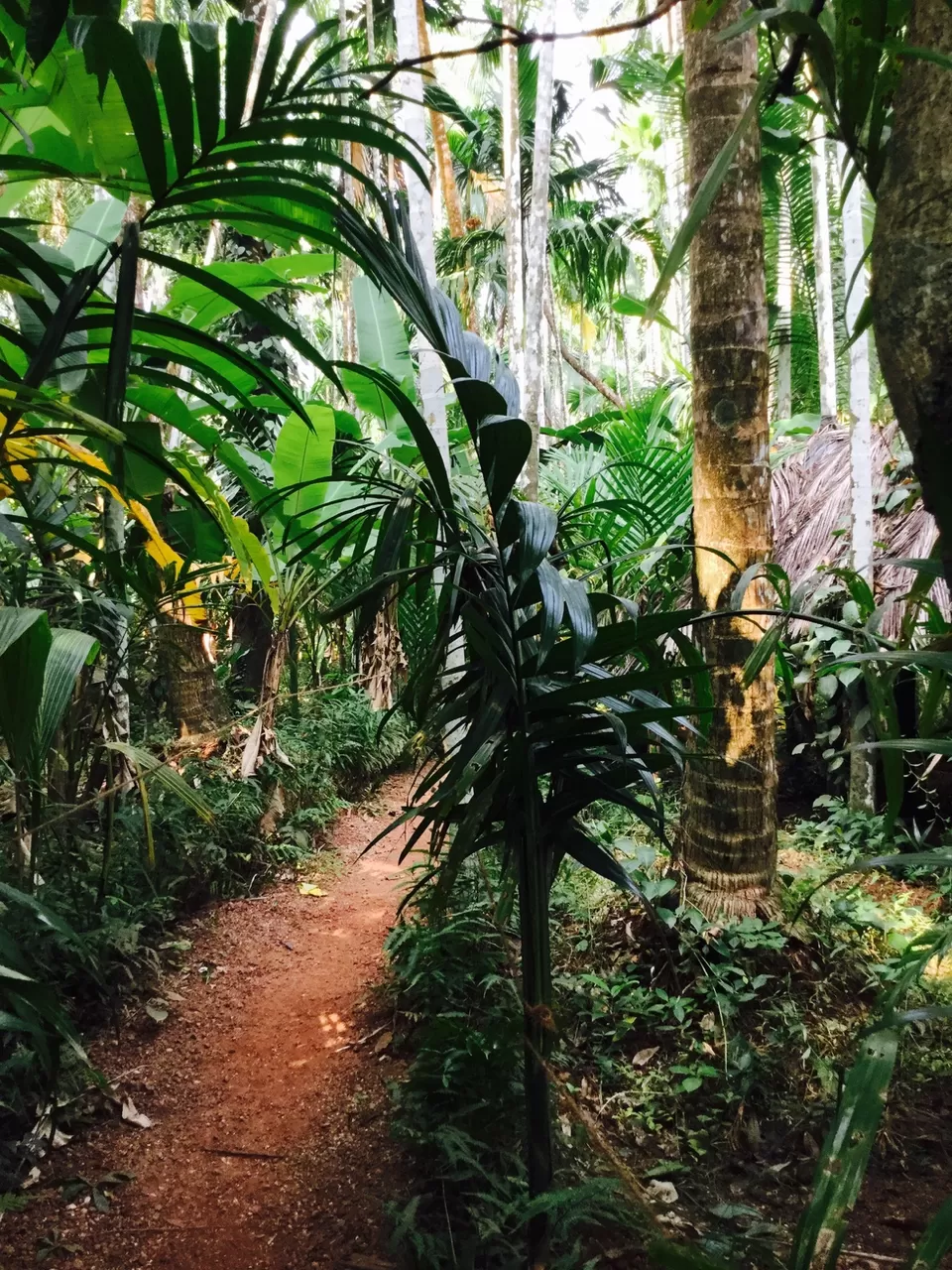 Photo of Maachli,Farmstay, Sagari Mahamarg, Parule, Maharashtra, India by Roma Kandpal