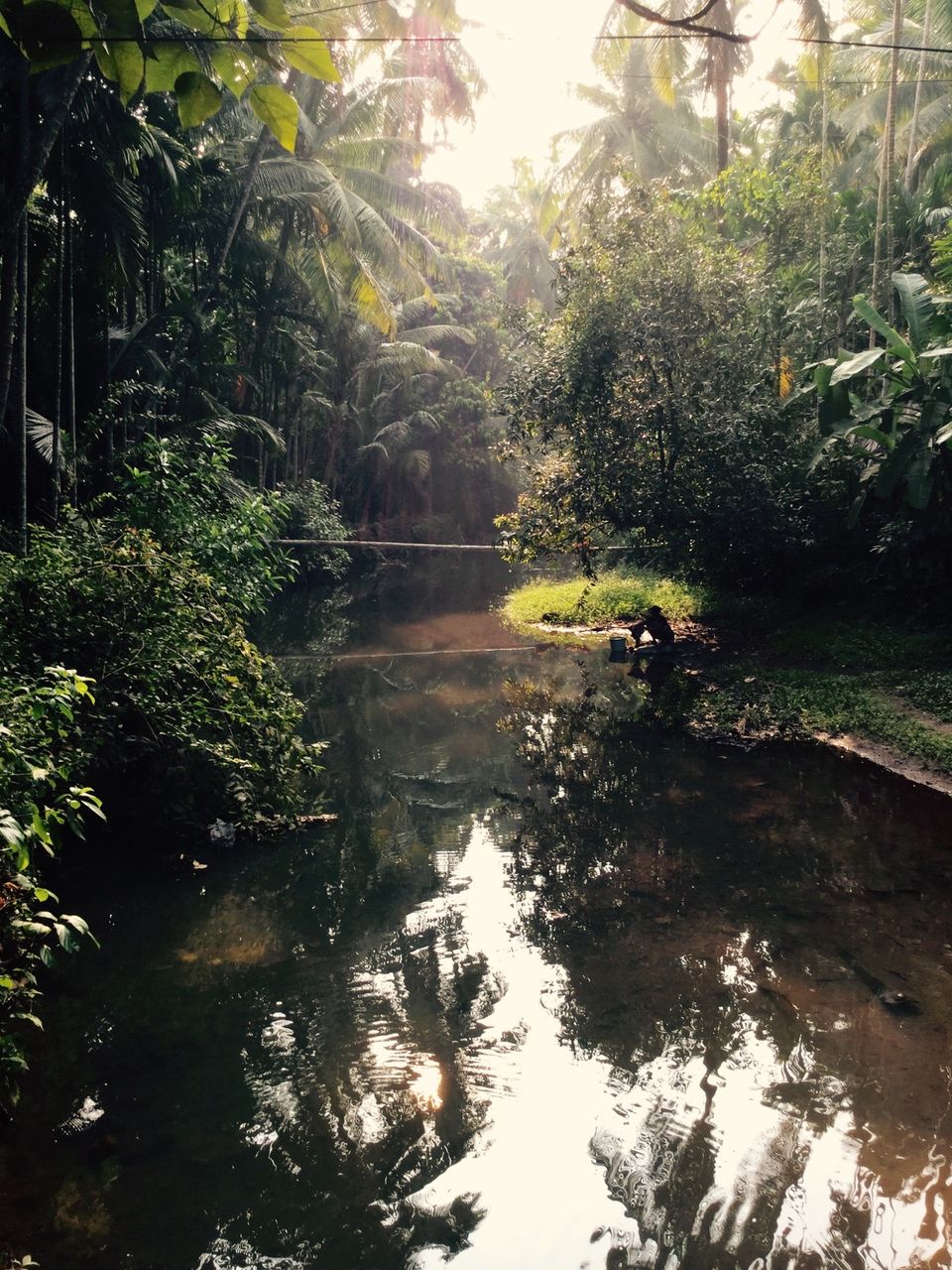 Photo of Tarkarli will leave you in a state of trance 9/18 by Roma Kandpal