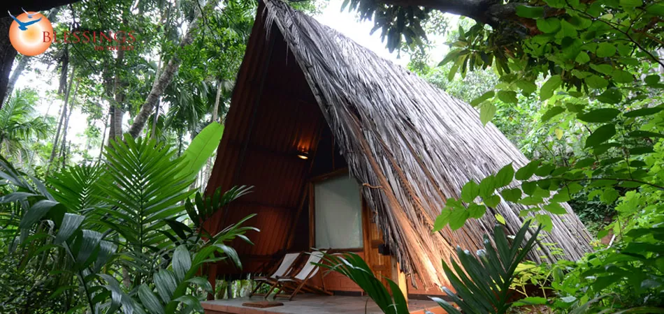 Photo of Maachli,Farmstay, Sagari Mahamarg, Parule, Maharashtra, India by Roma Kandpal