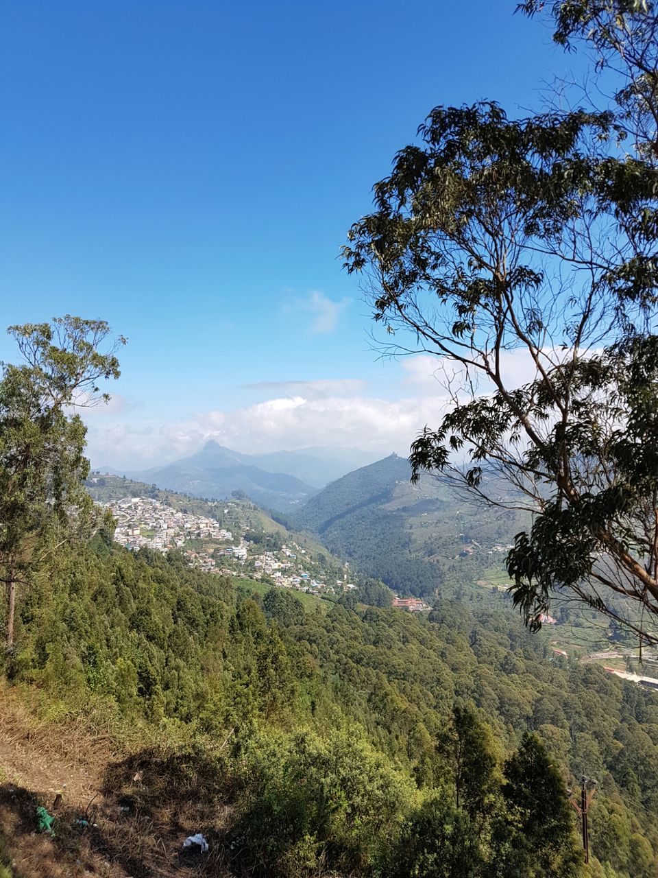 Photo of Enchanting Kodaikanal in Winter by Adhiraj Sarker