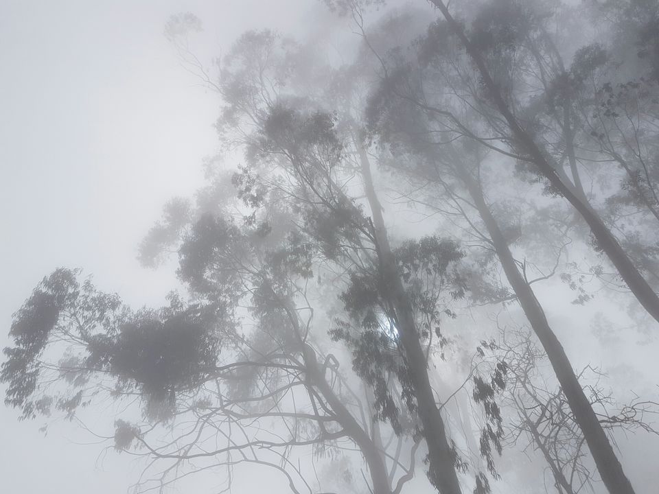 Photo of Enchanting Kodaikanal in Winter by Adhiraj Sarker
