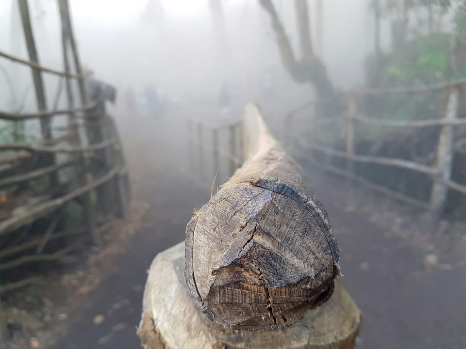 Photo of Enchanting Kodaikanal in Winter by Adhiraj Sarker