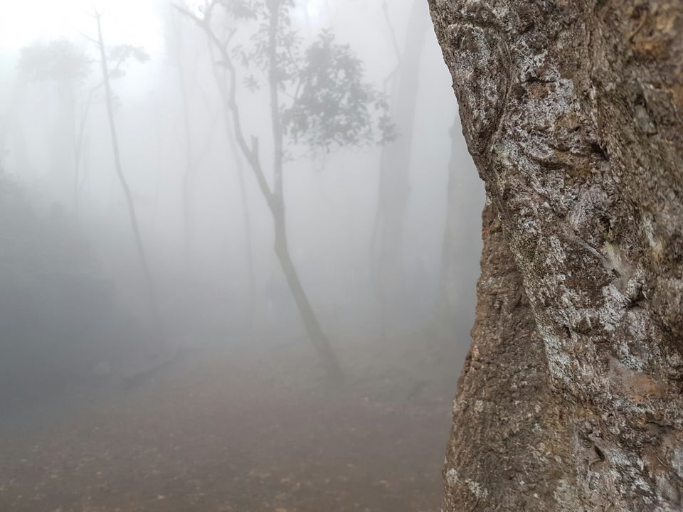 Photo of Enchanting Kodaikanal in Winter by Adhiraj Sarker