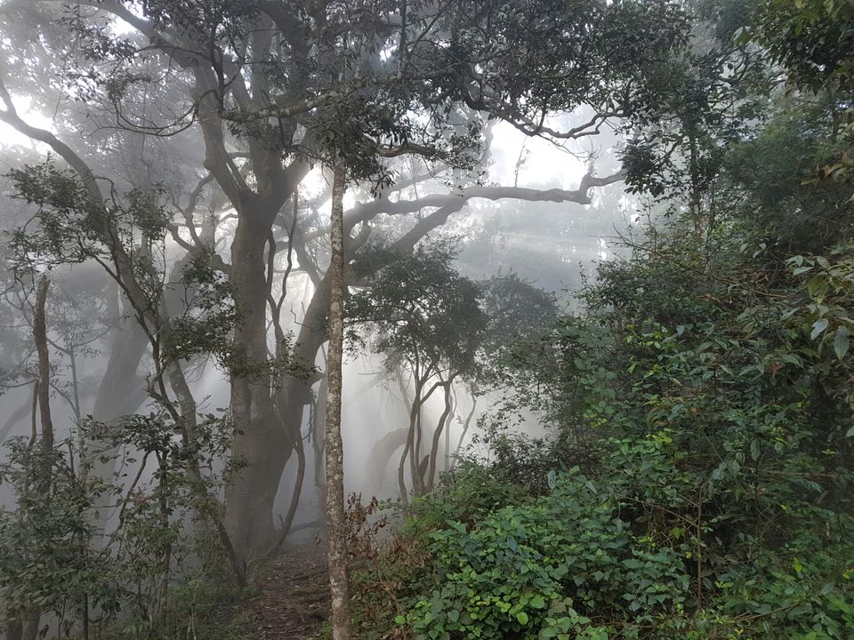 Photo of Enchanting Kodaikanal in Winter by Adhiraj Sarker
