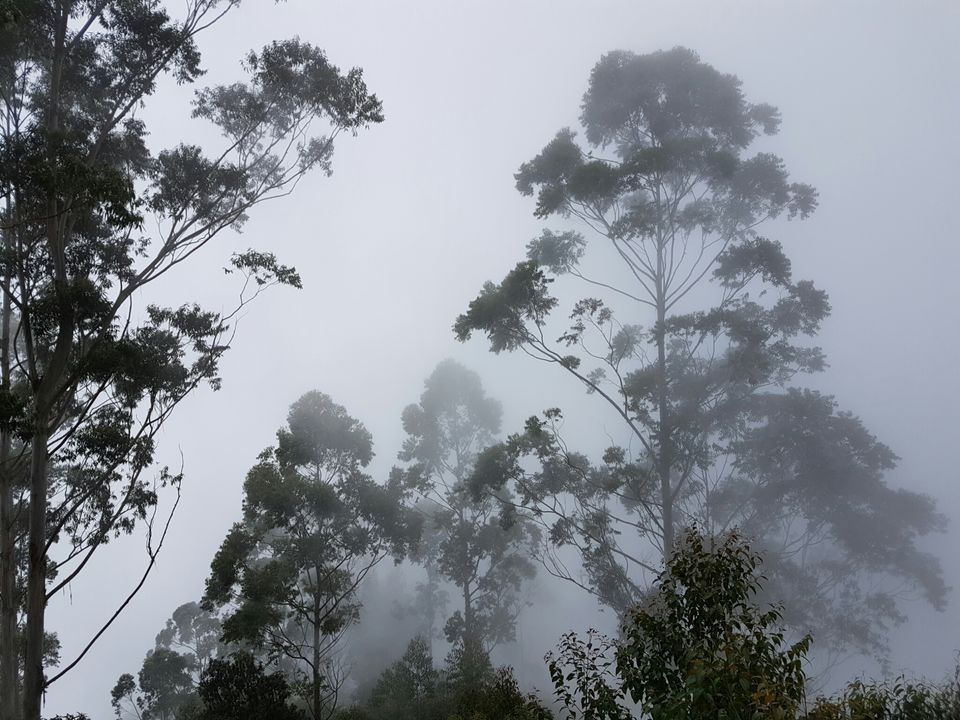 Photo of Enchanting Kodaikanal in Winter by Adhiraj Sarker
