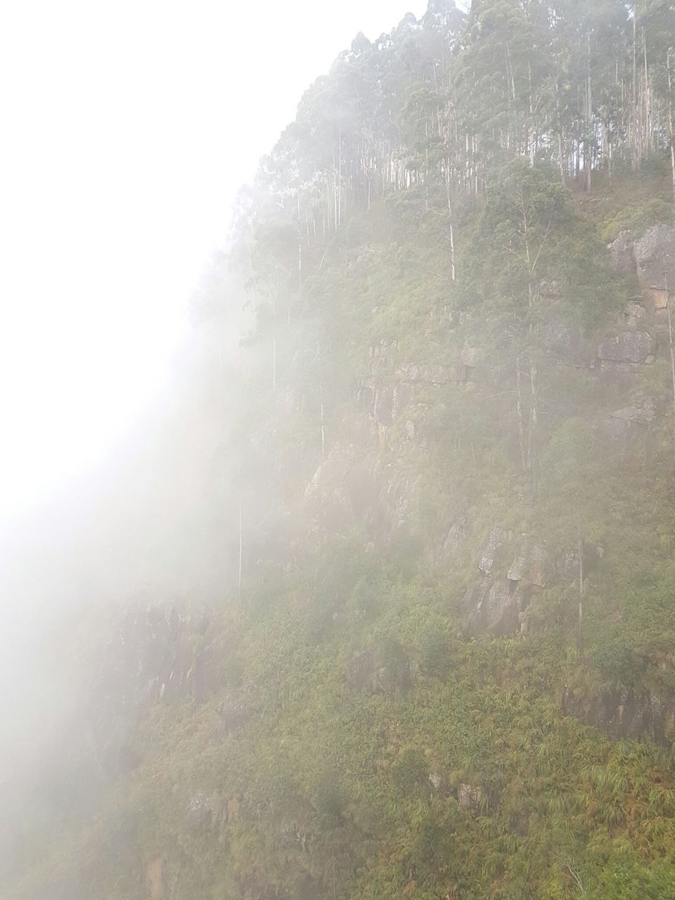 Photo of Enchanting Kodaikanal in Winter by Adhiraj Sarker