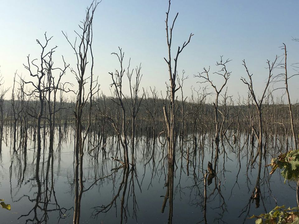 Photo of Raipur by Kalash Tiwari