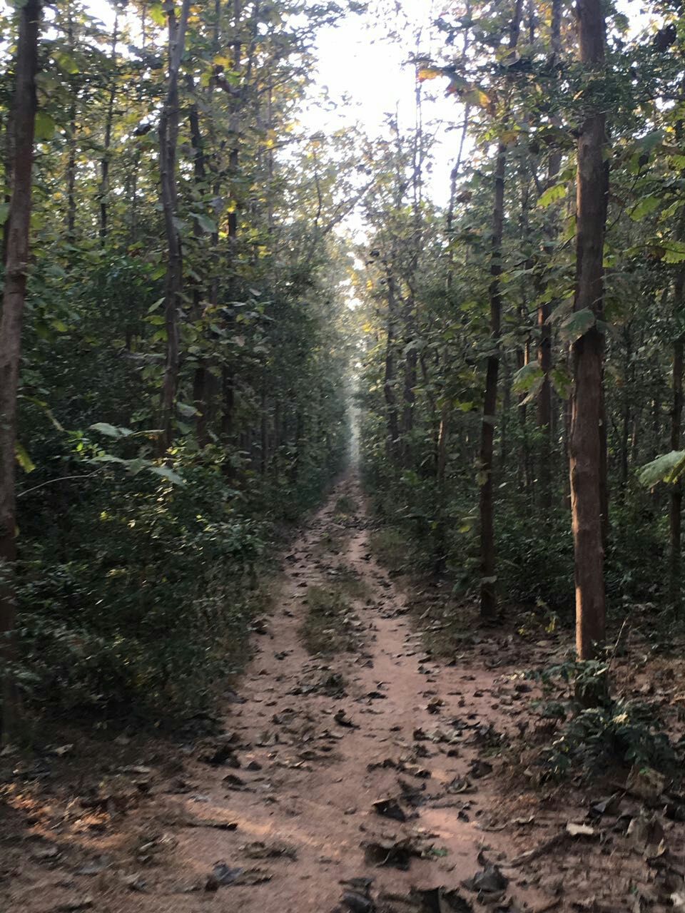 Photo of Raipur by Kalash Tiwari