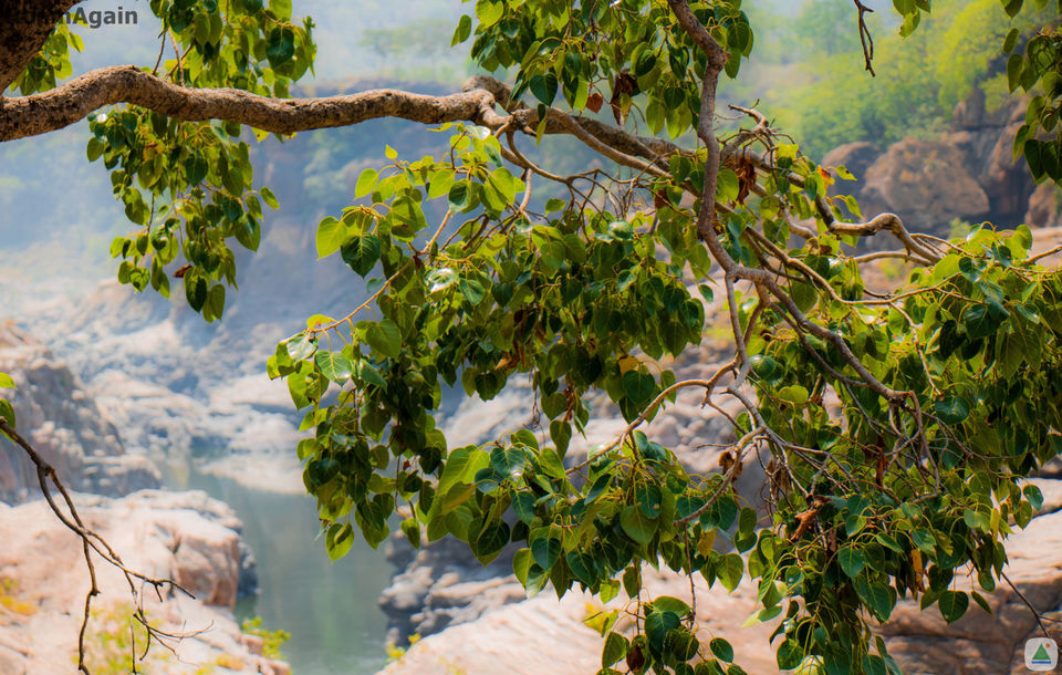 Photo of Mekedatu, Mahalli, Karnataka, India by Akash Chauhan
