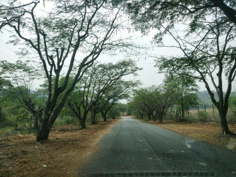 Photo of Mekedatu, Mahalli, Karnataka, India by Akash Chauhan