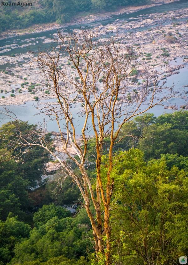 Photo of Mekedatu, Mahalli, Karnataka, India by Akash Chauhan