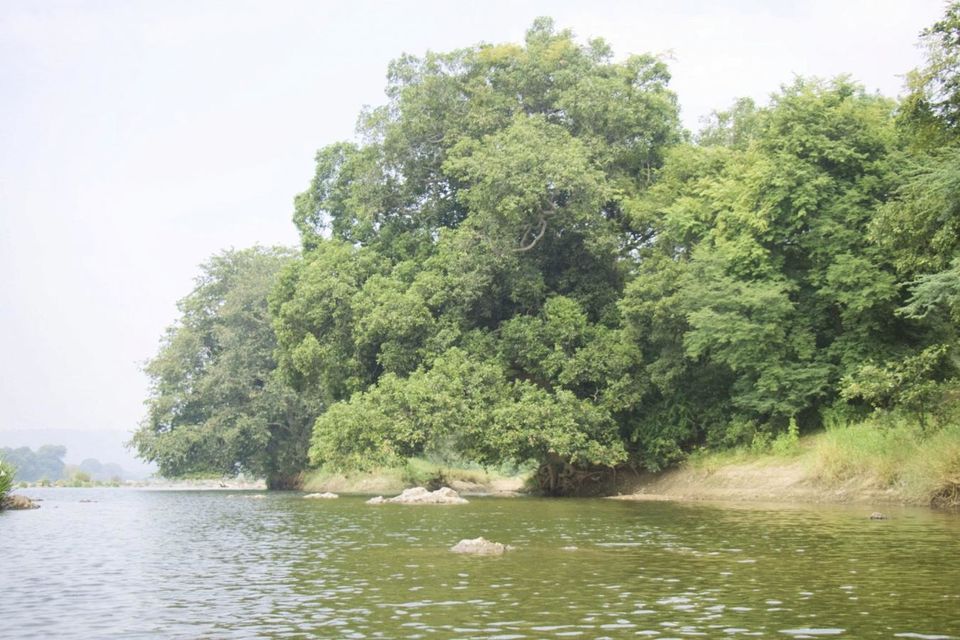 Photo of Mekedatu, Mahalli, Karnataka, India by Akash Chauhan