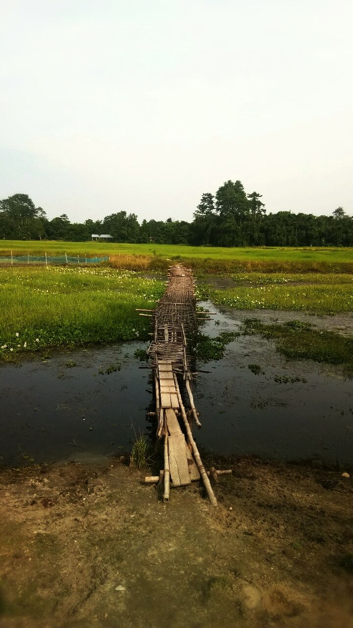 Photo of Nomoshkaar, Assam! 4/11 by Oindrilla Gupta