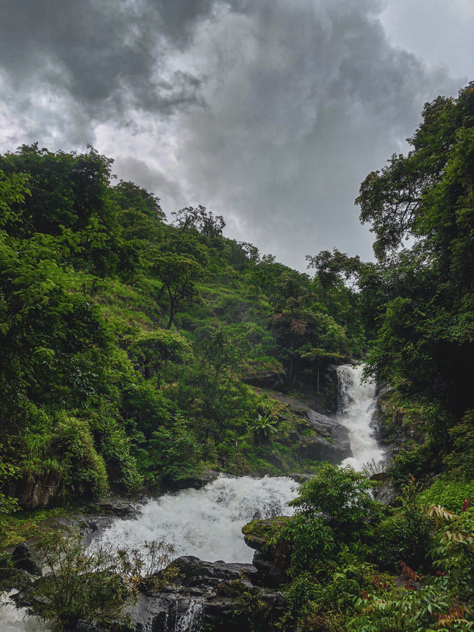 Photo of Iruppu Waterfalls, Brahmagiri, Brahmagiri, Kurchi, Karnataka, India by Sanjana Tewari