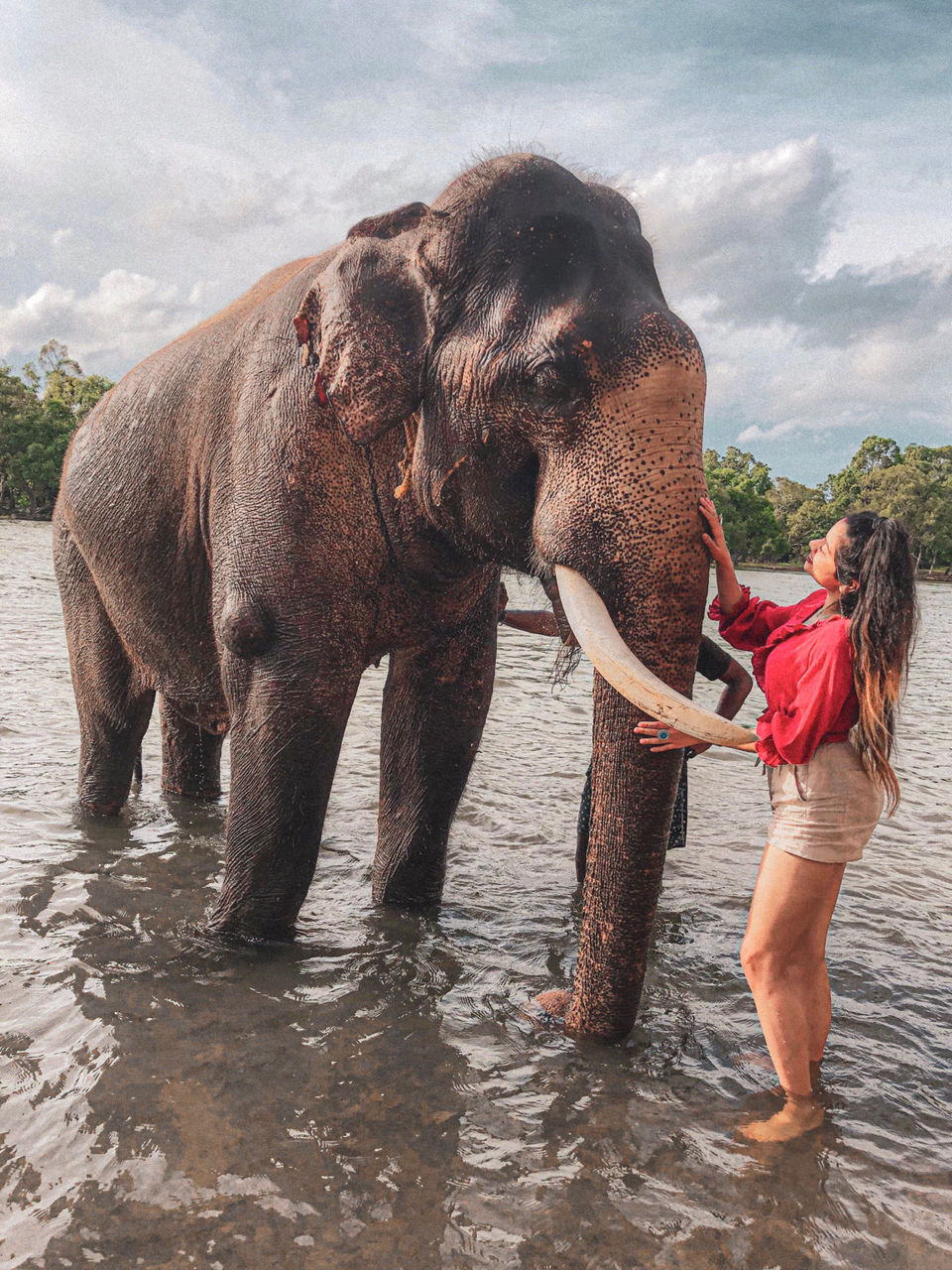 Photo of Dubare Elephant Camp & River Rafting Coorg Contact number, Coorg, Karnataka, India by Sanjana Tewari