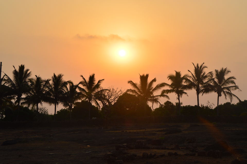 Photo of Pawas, Maharashtra, India by Samhita Hiswankar