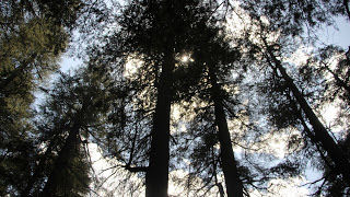 Photo of Manali Trance and tunes!! Adventurous voyage by Deep Shikha