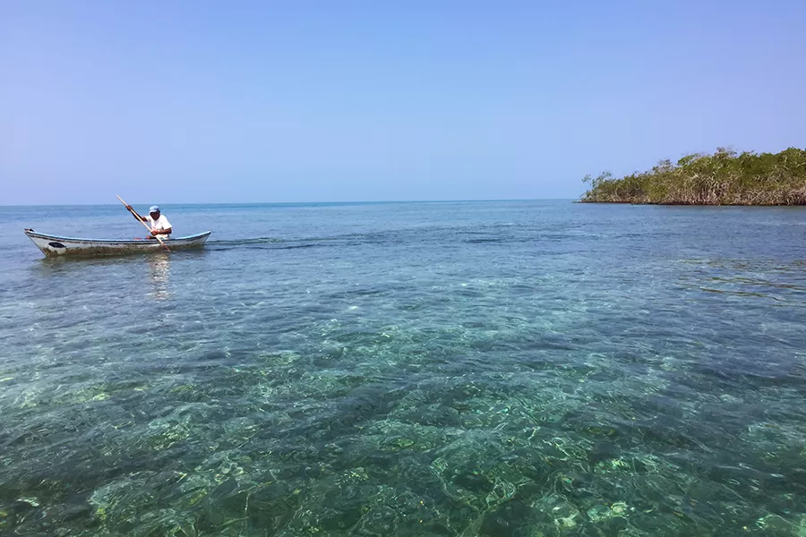 Photo of Isla Tintipan, Isla - Sucre, Colombia by Susan 