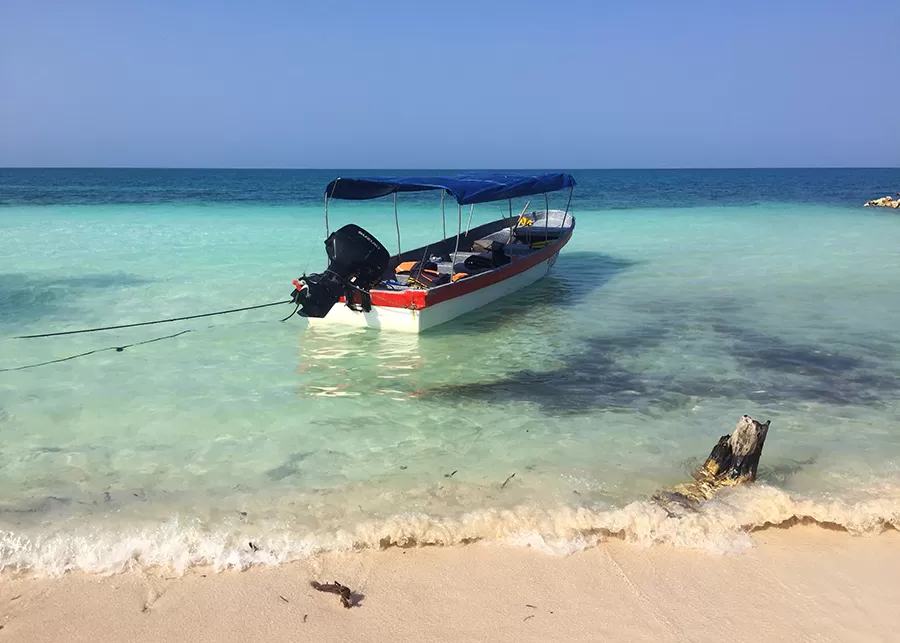 Photo of Tintipan, Colombia by Susan 