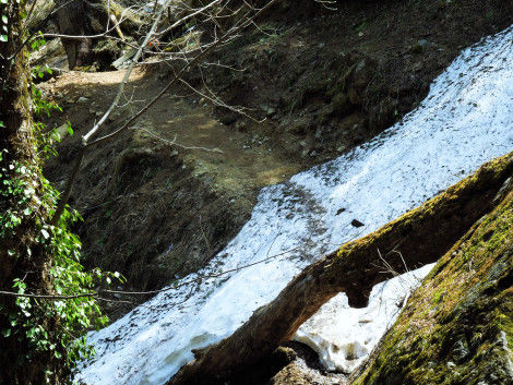 Photo of A Trek to the Picturesque Kheer Ganga 5/14 by Himanshu Agarwal