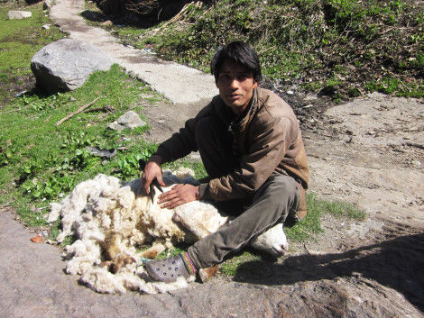 Photo of A Trek to the Picturesque Kheer Ganga 7/14 by Himanshu Agarwal