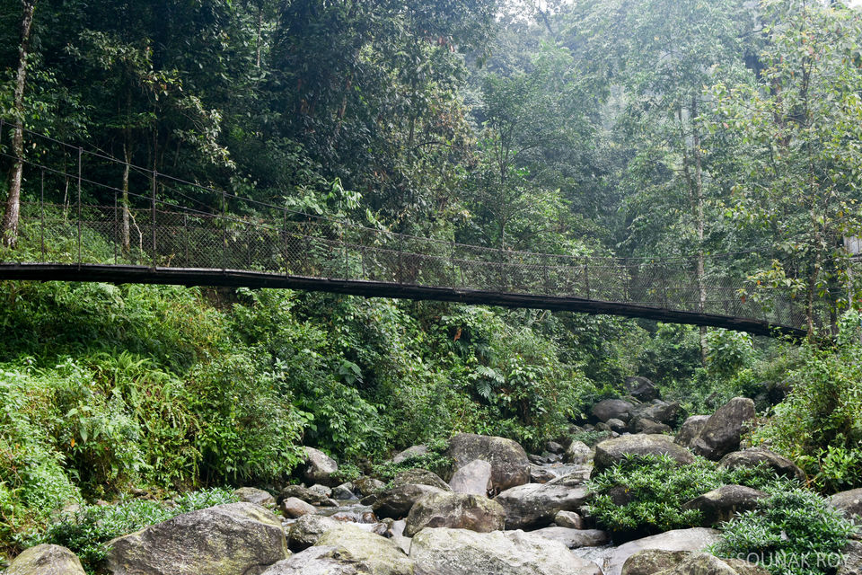 Photo of A visit to 'Orange Stream' (Suntalekhola) and Rishyap by Sounak Roy