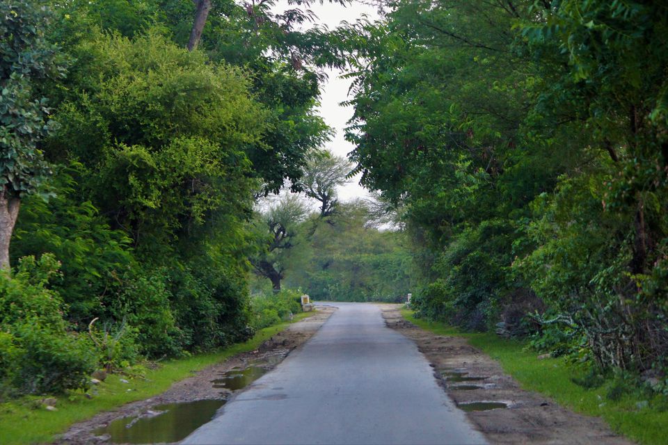 Photo of Trekking, camping, wildlife and waterfalls near second largest wall of world in Kumbhalgarh 1/4 by Jimish Parekh